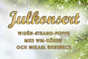 Julkonsert med Widén Strand Poppe