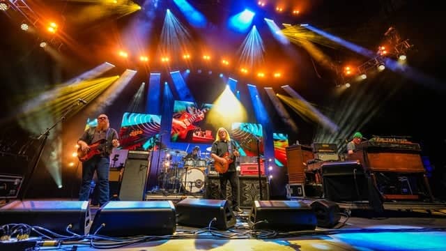 Gov't Mule