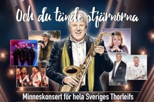 Thorleifs