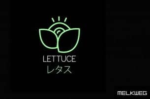 Lettuce