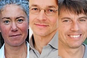 Hettan – vad händer med klimatet?