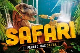 Safari