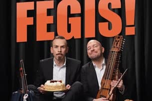 Din Javla Fegis
