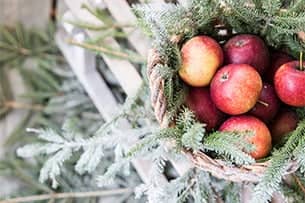 Julbord Sjönevads Gästis
