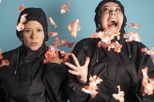 The Kagools
