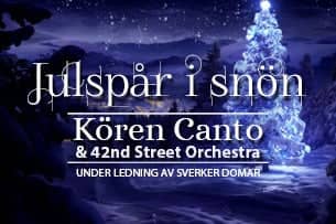 Julspar i snon