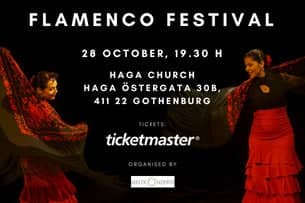 Flamenco Festival