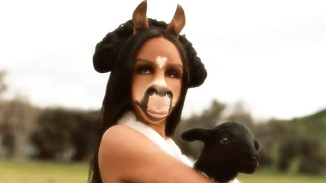 horsegiirL