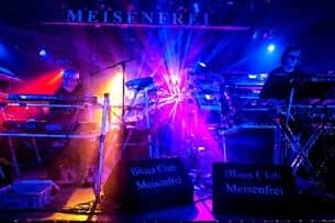 Martha Rabbit