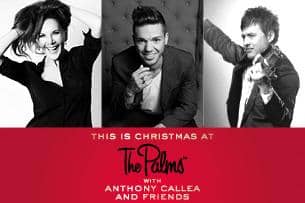 This Is Christmas At The Palms