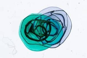 Kreisen