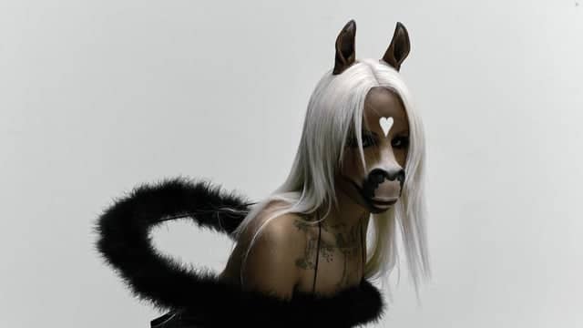 horsegiirL