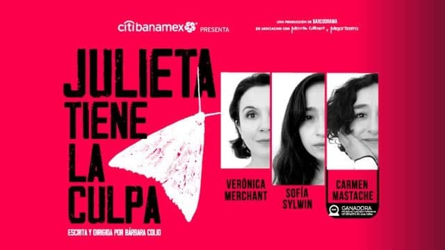 Julieta Tiene La Culpa