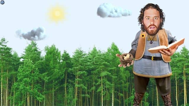 T.J. Miller