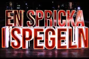 En spricka i spegeln