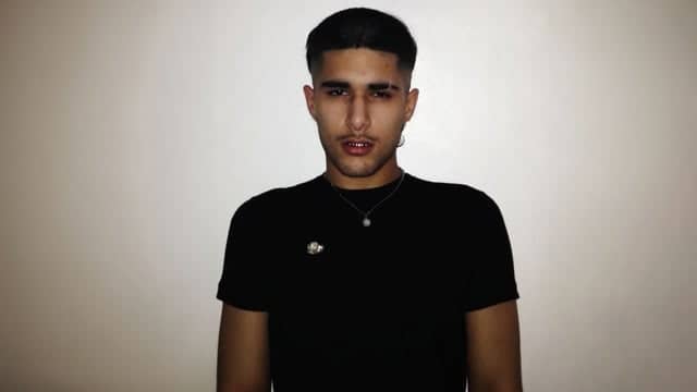 fakemink