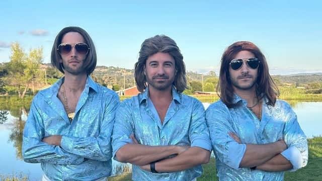 Bee Gees Fever