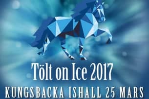 Tölt on Ice