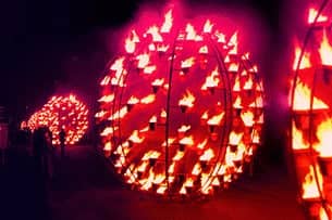 Fire Gardens