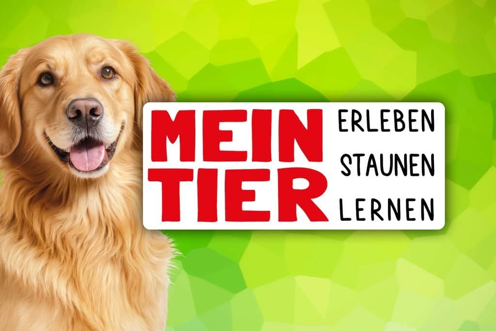 Mein Tier