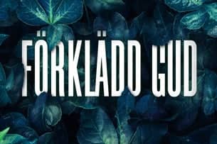 Förklädd gud