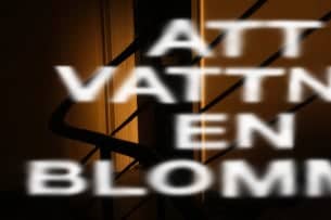 Att vattna en blomma