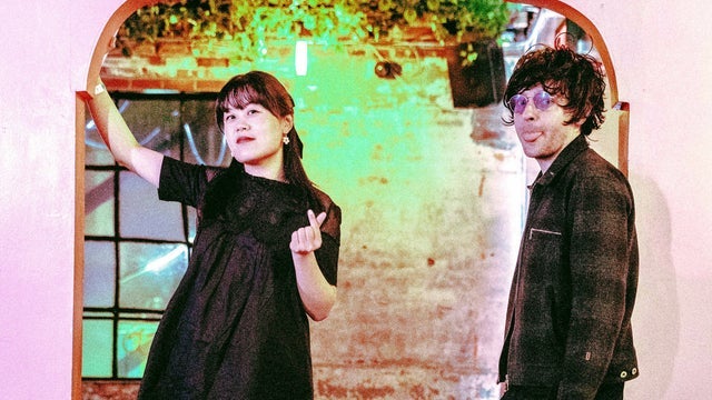 Chinese American Bear