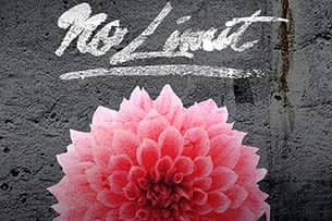 No Limit festival