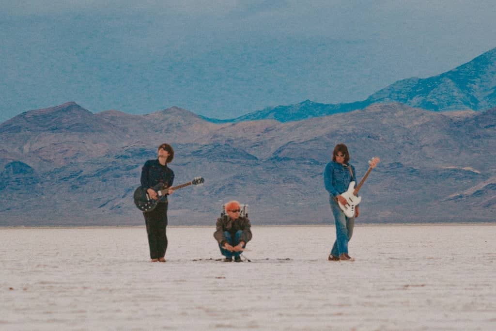 Foxtide w/ Hallpass & Dingo Dango
