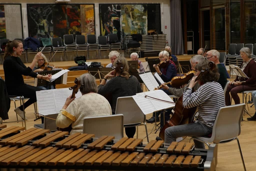 Sønderjysk Amatør Symfoniorkester