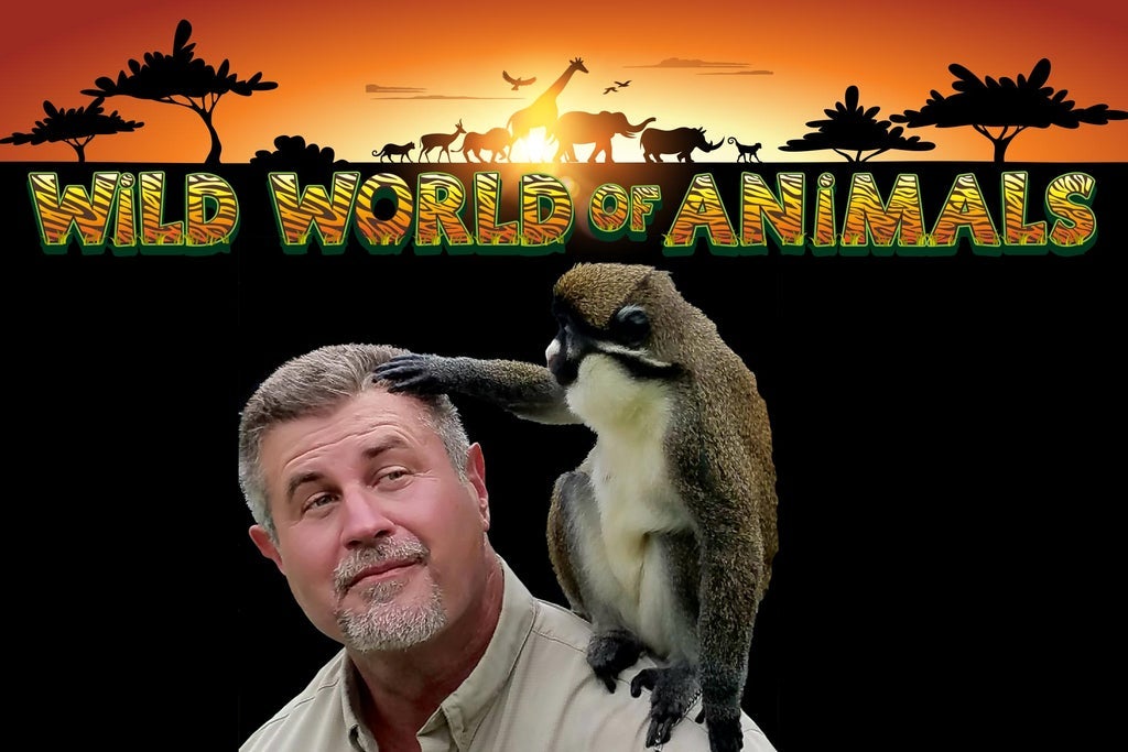 Wild World Of Animals