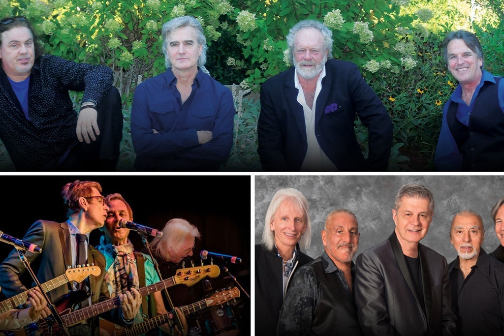 American Pop: The Grass Roots, The Buckinghams & The Box Tops