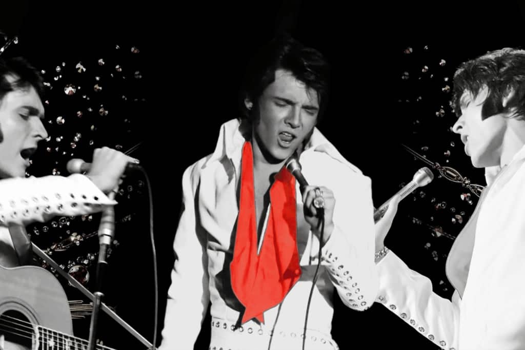 ELVIS: In Person - Starring Matt Stone