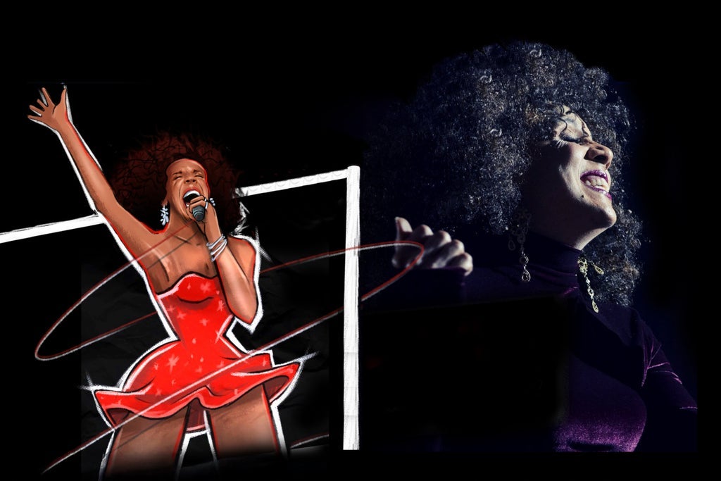 TINA LIVE - The Tina Turner Experience