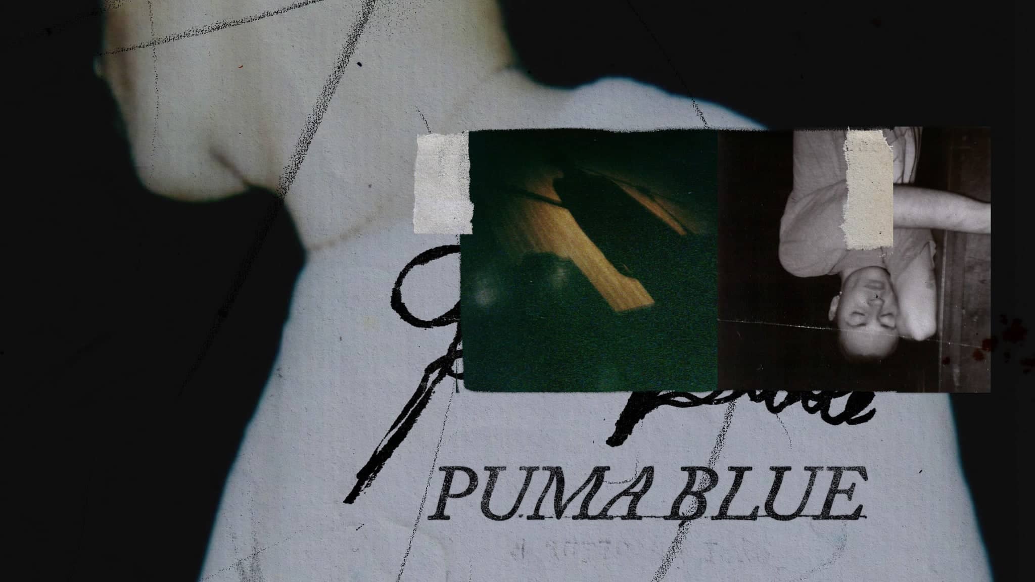 Puma Blue
