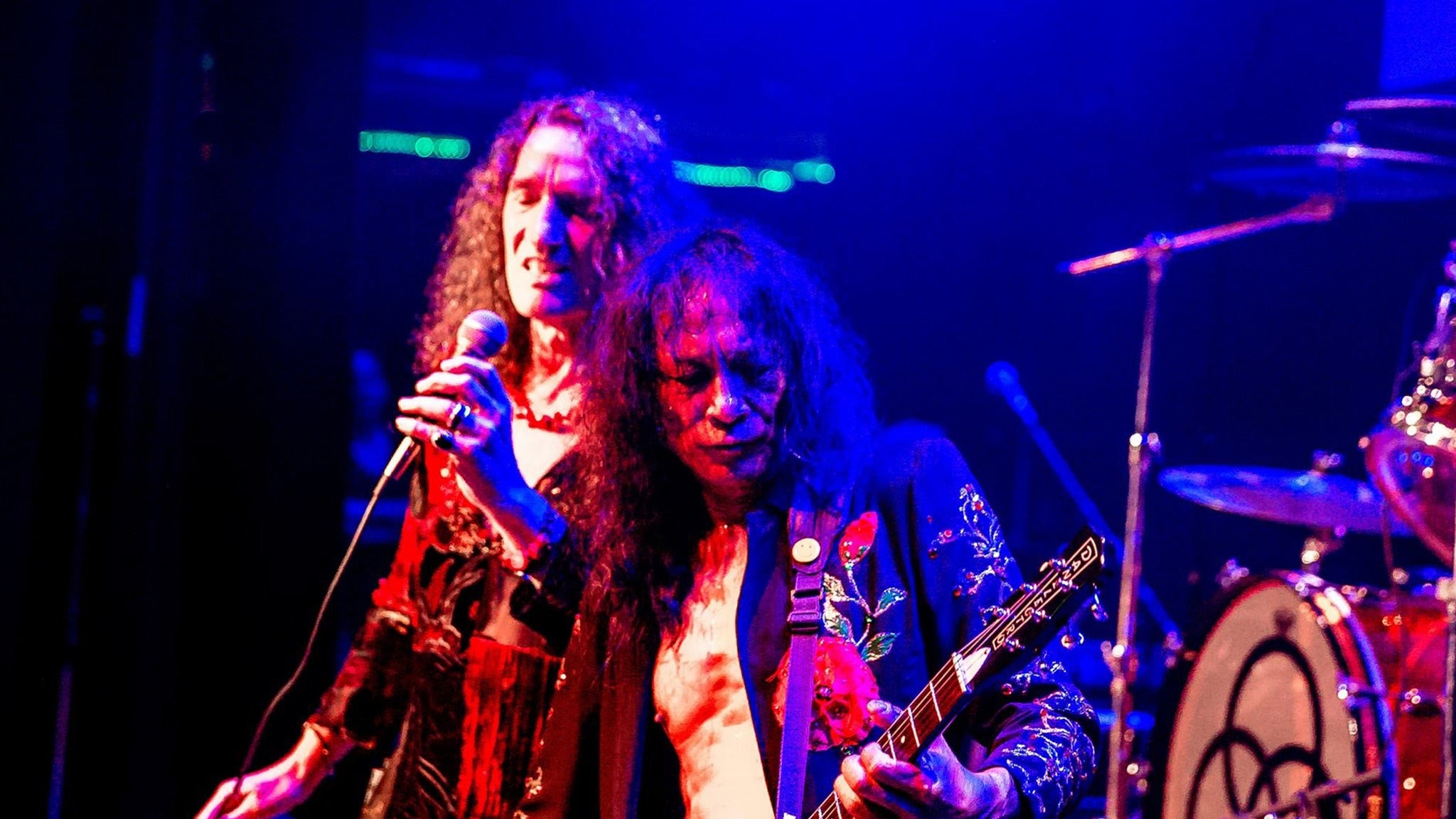 The Pure Zeppelin Experience