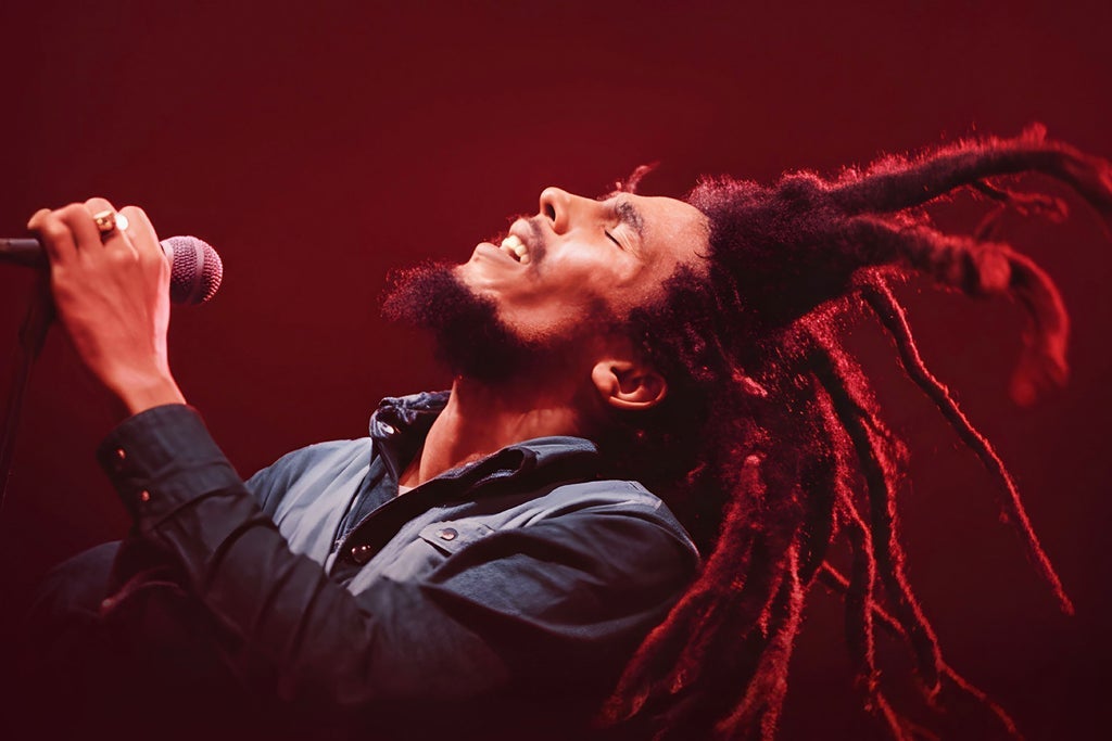 Bob Marley Hope Road The Show