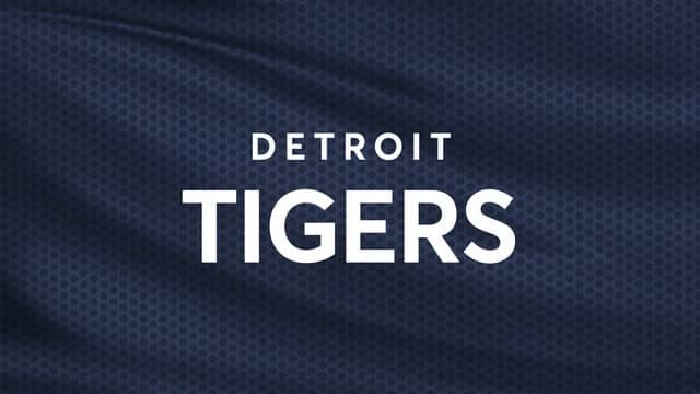 Detroit Tigers Stadium Tour