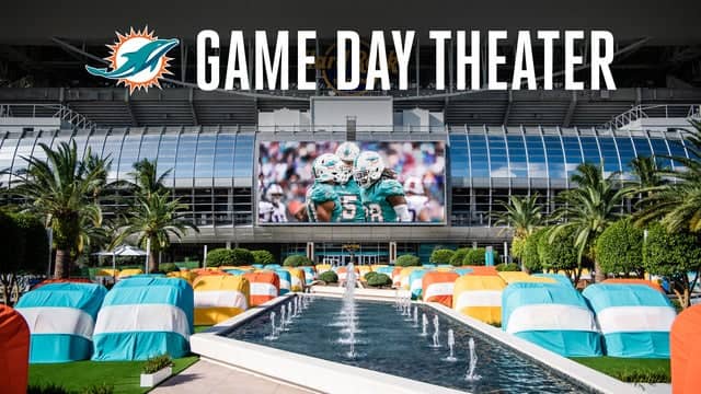 Dolphins Theater Experience