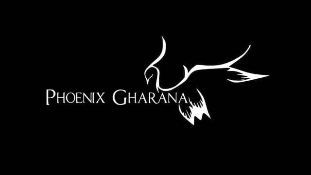 Phoenix Gharana School Concert Series
