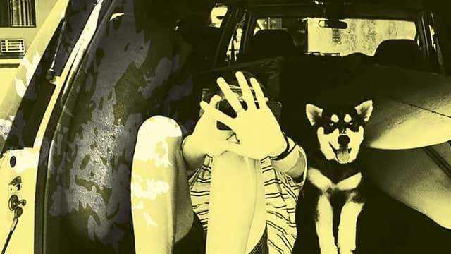 Throwing Muses