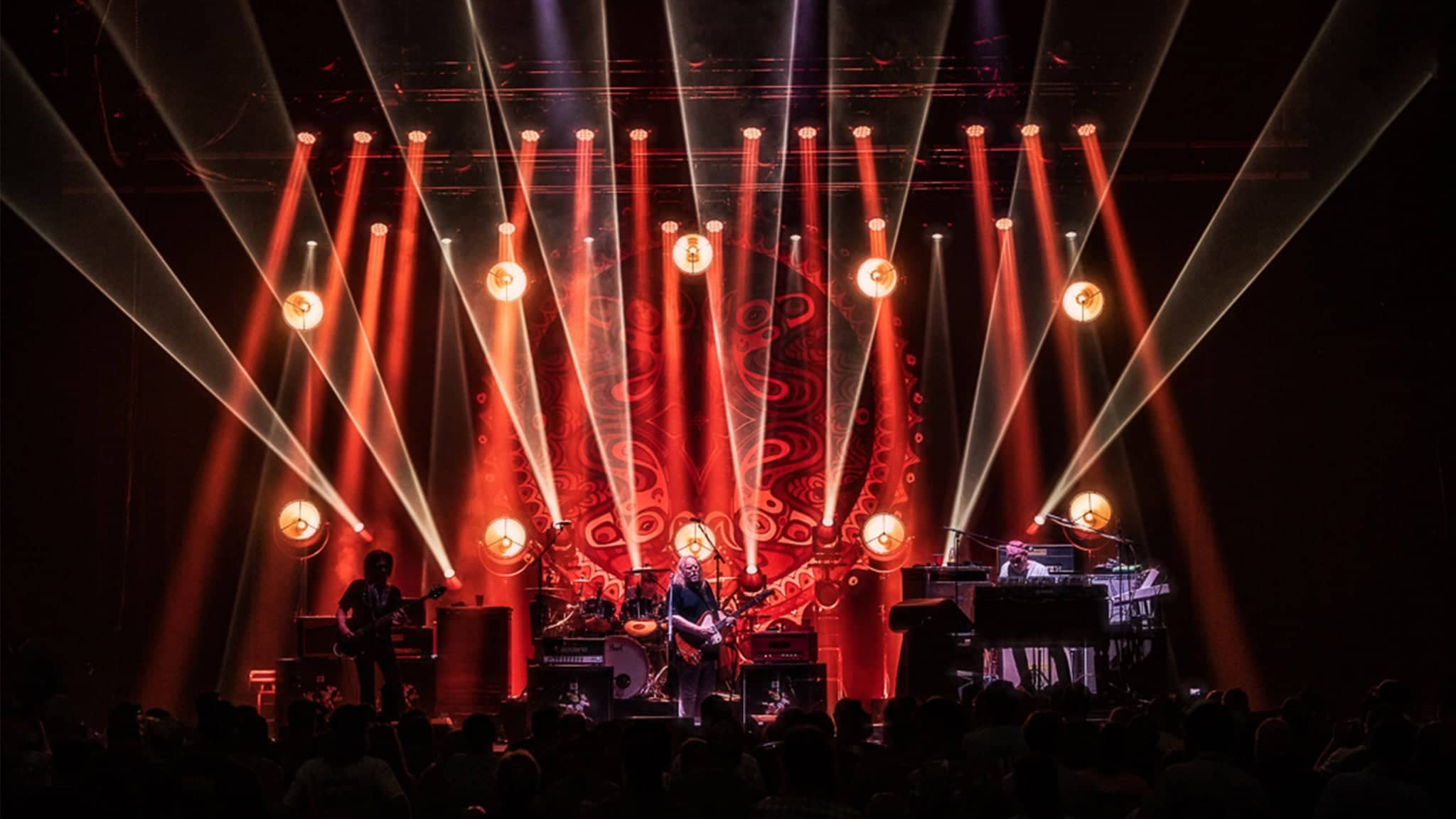 Gov't Mule