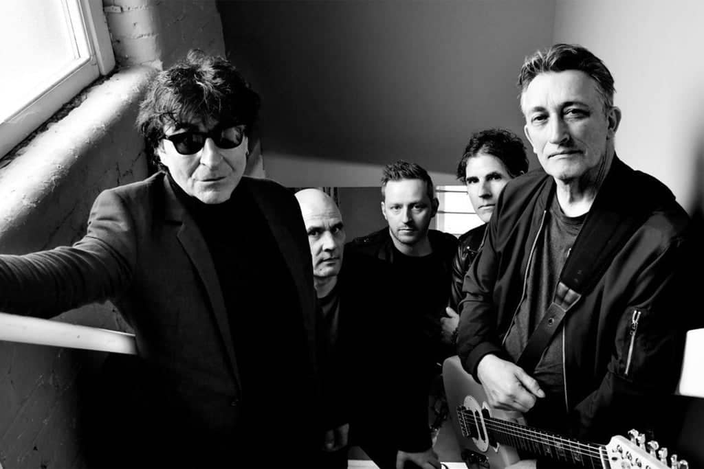The Chameleons