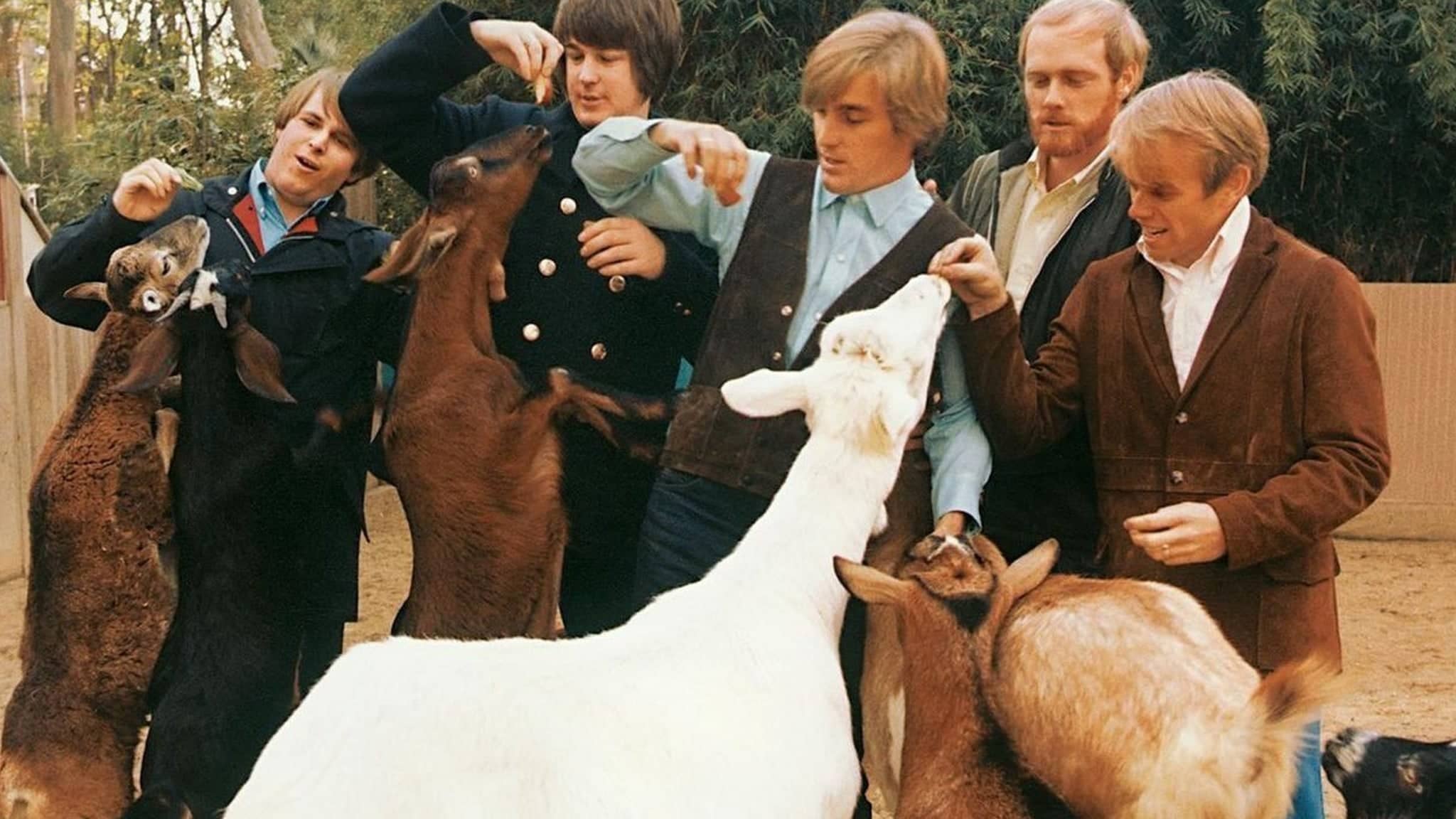 PET SOUNDS - Tribute To The Beach Boys