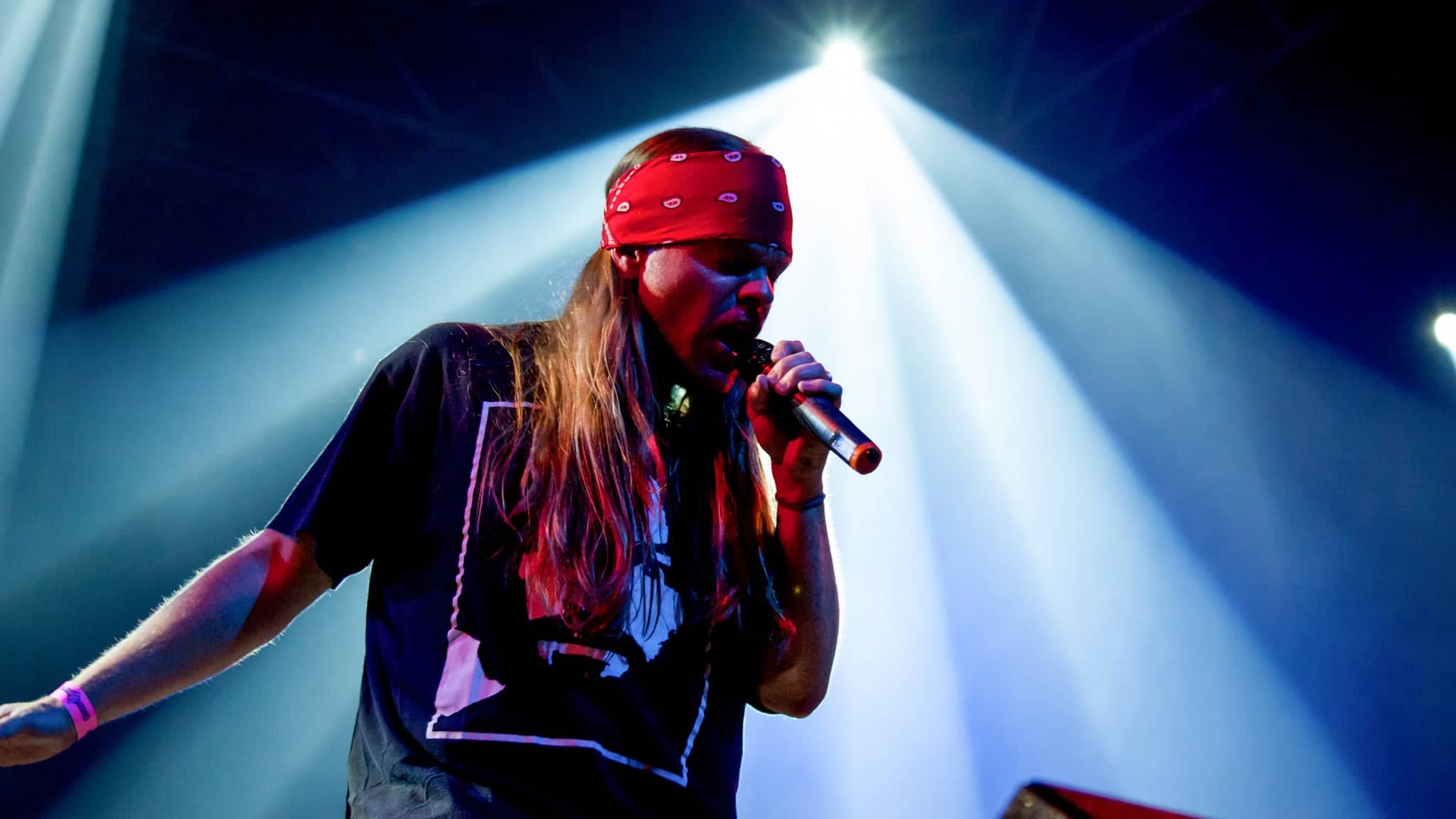 Appetite for Destruction