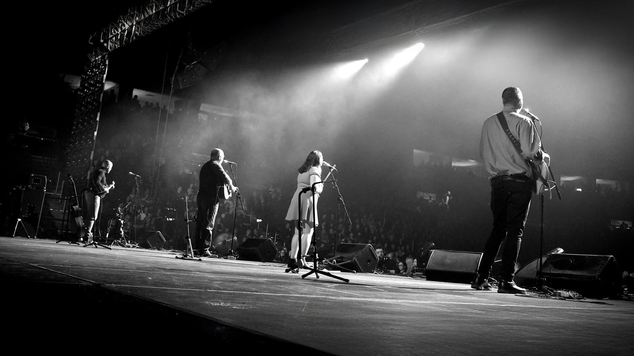 The Irish Descendants