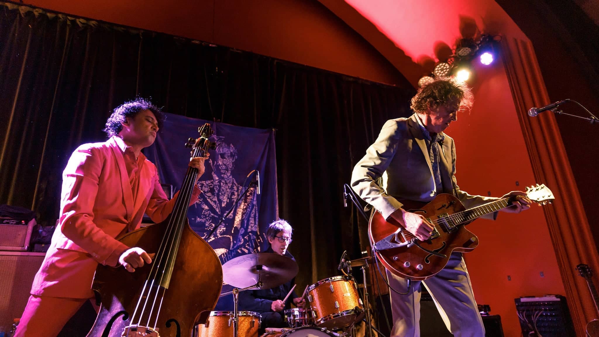 The Sadies