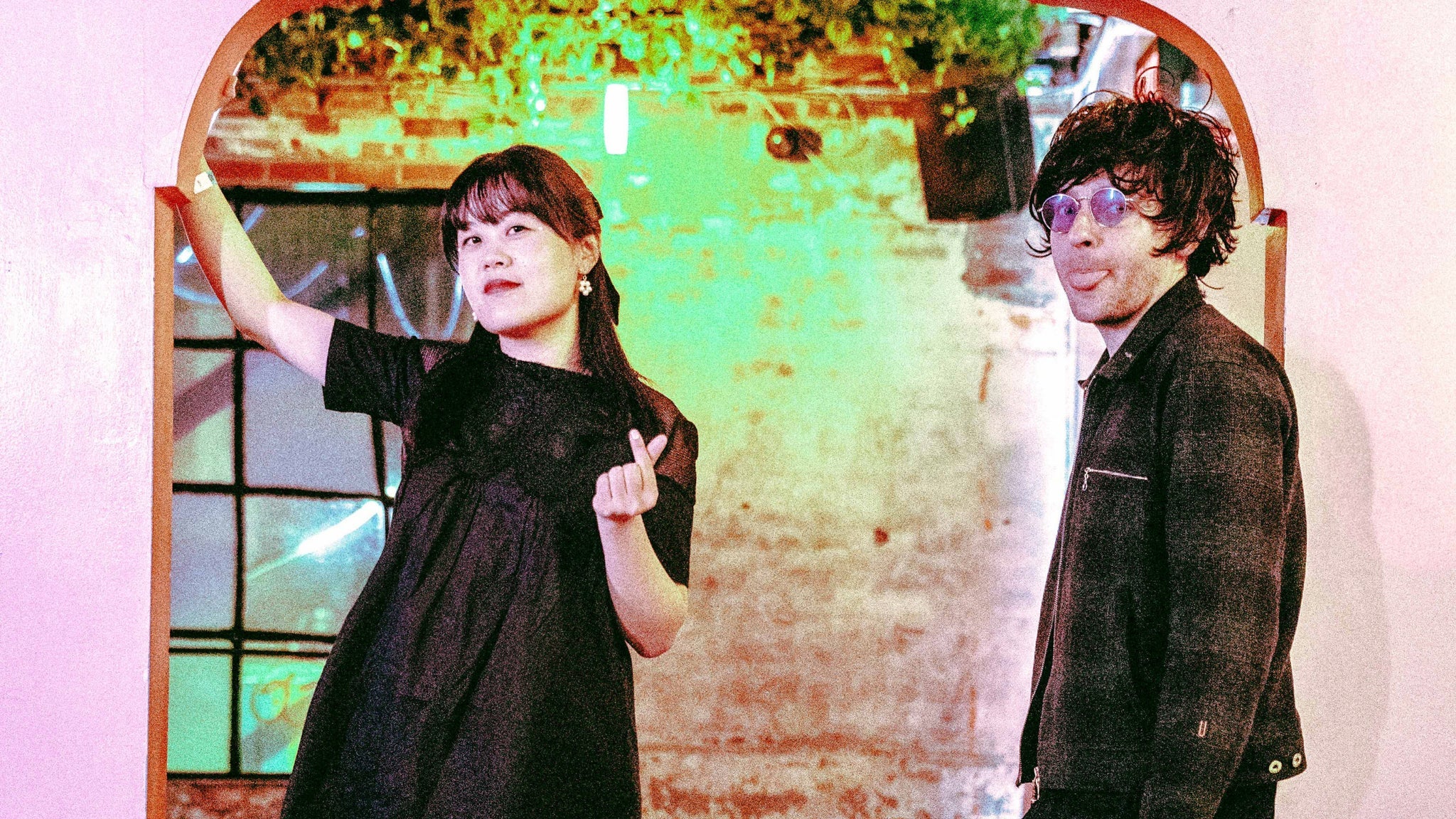 Chinese American Bear