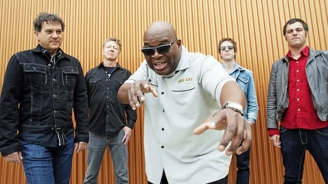 Barrence Whitfield