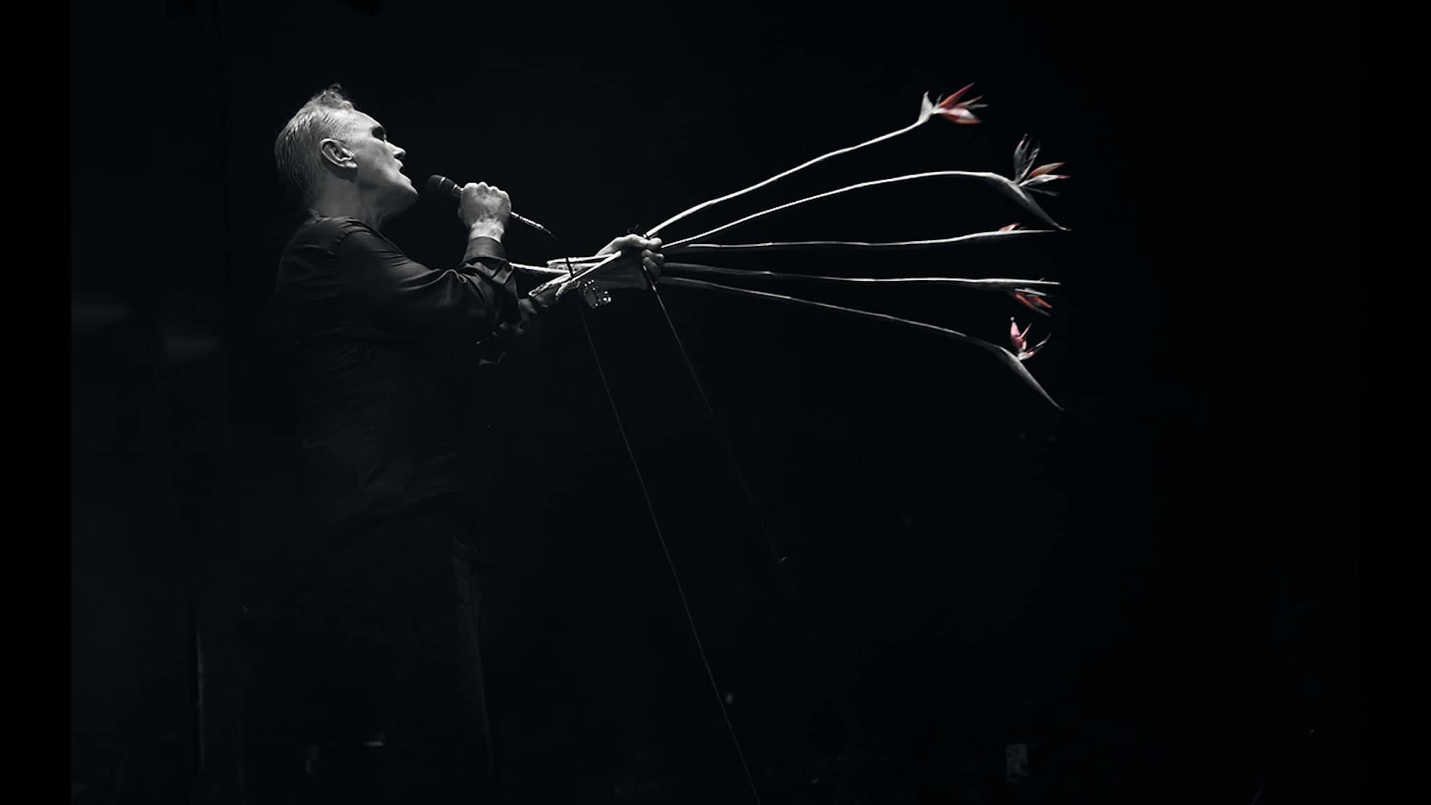 Morrissey